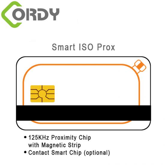 RFID dual card with contact IC