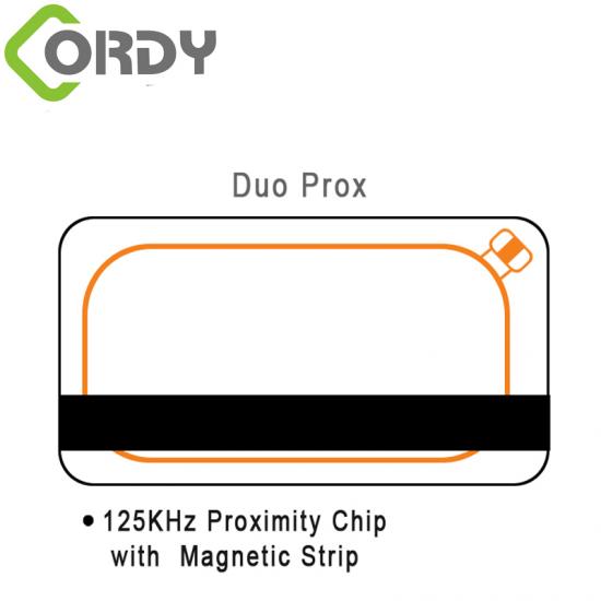 RFID dual card with contact IC